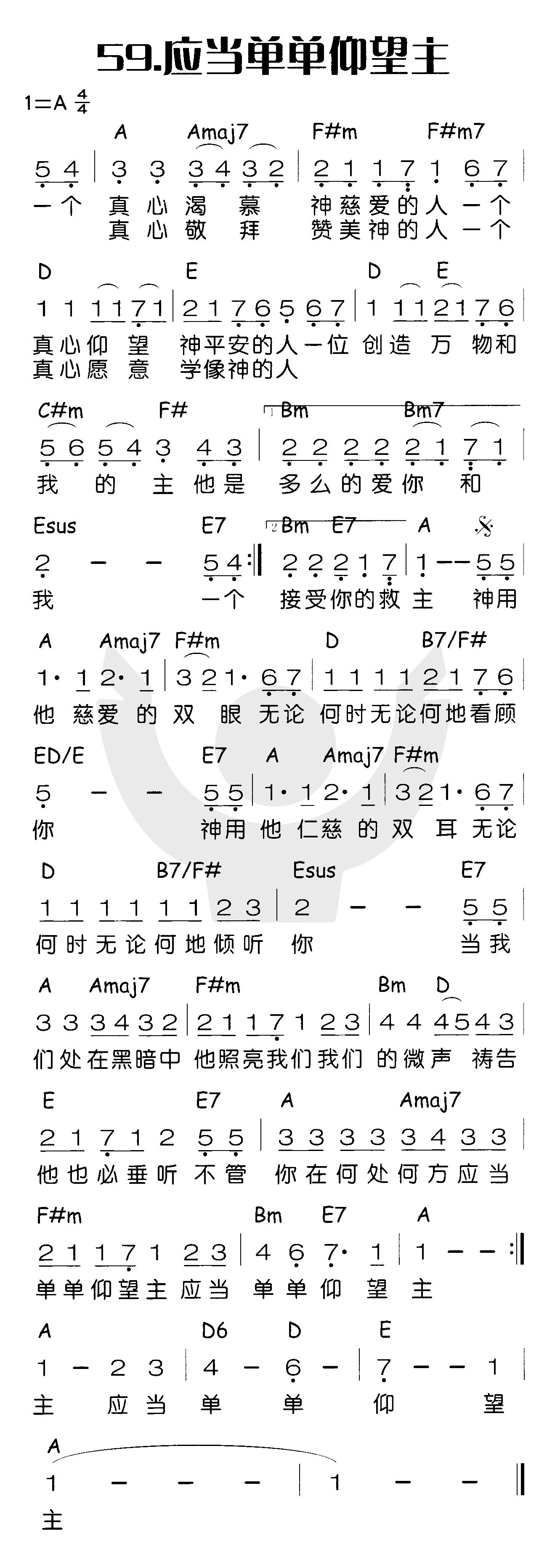 应当单单仰望主 第 1 页