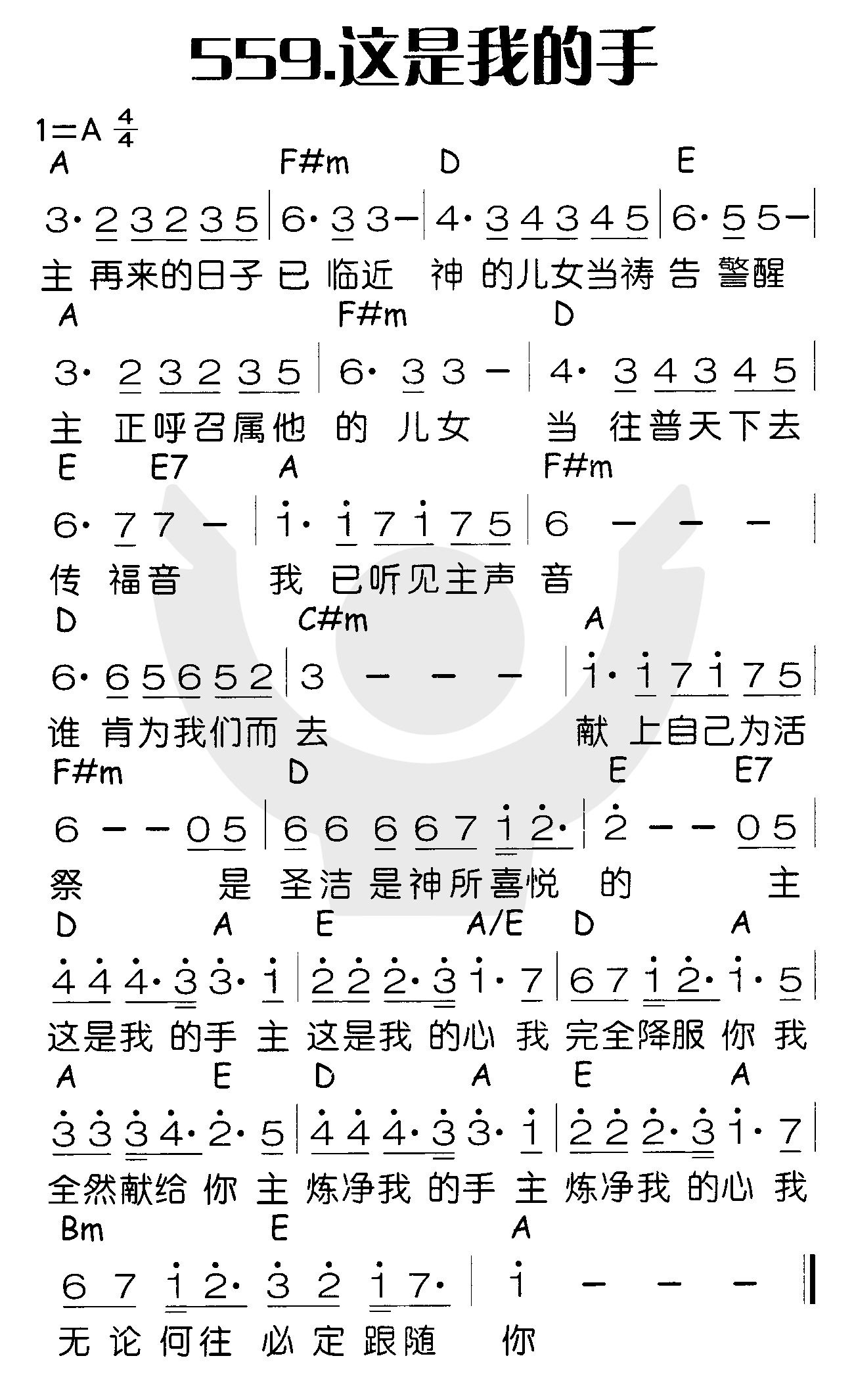 这是我的手 第 1 页
