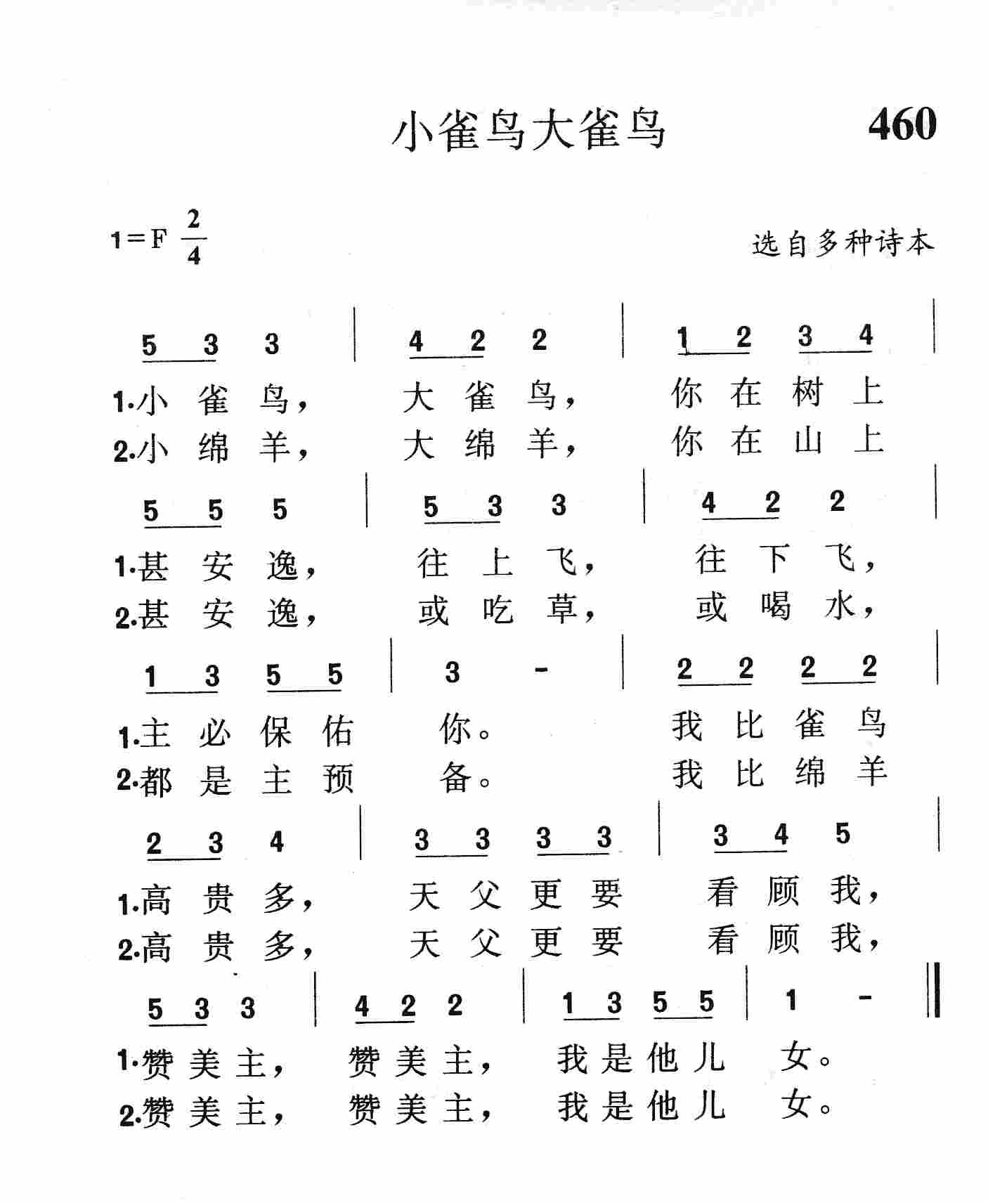 小雀鸟大雀鸟 第 1 页