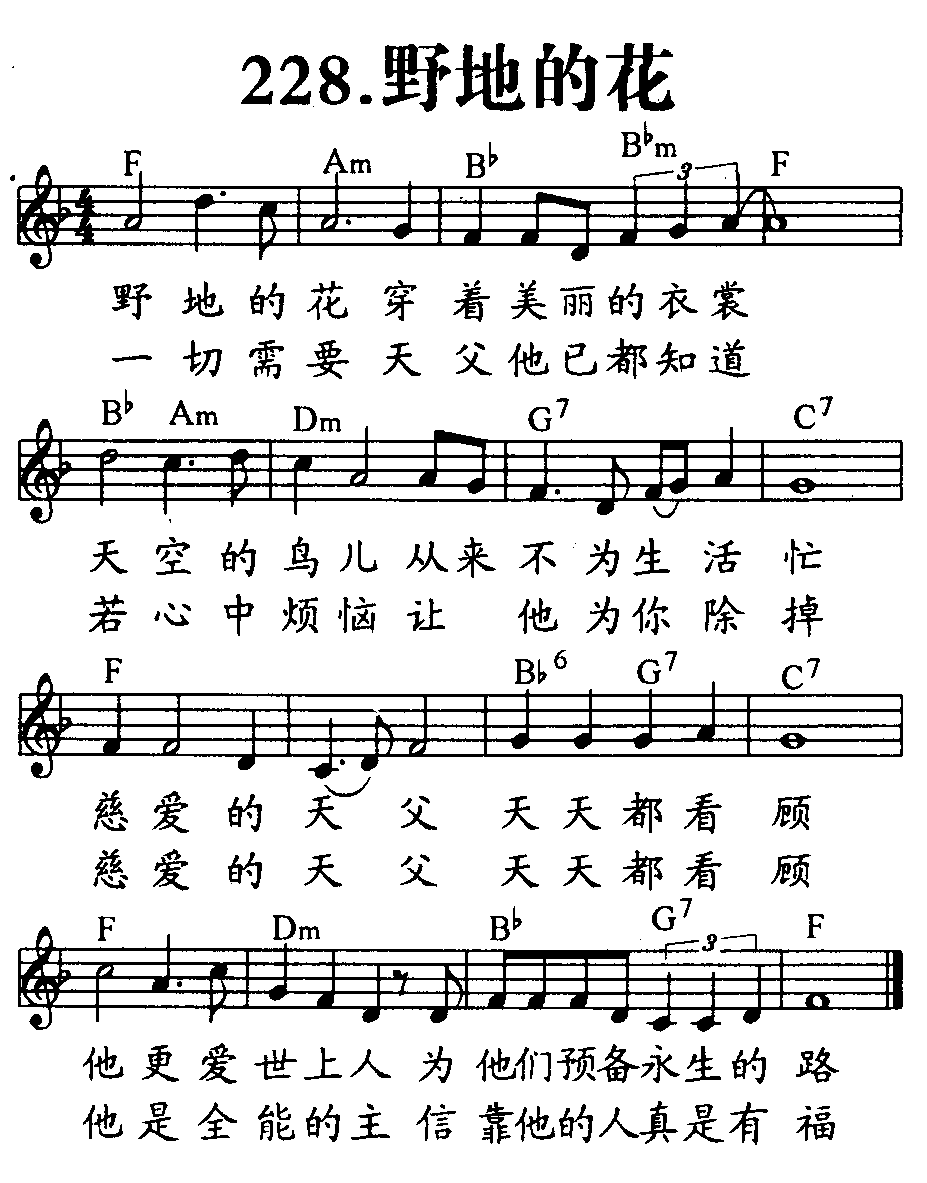 野地的花 第 1 页