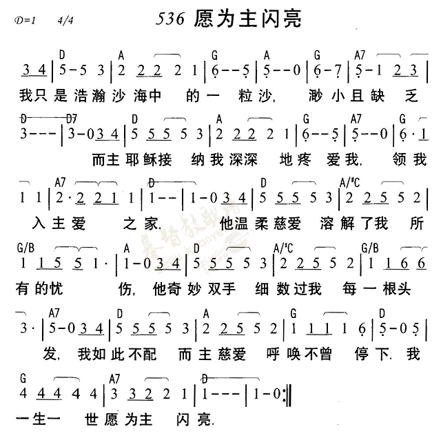 愿为主闪亮 第 1 页