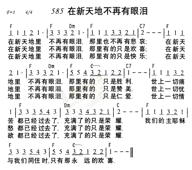 在新天地不再有眼泪 第 1 页
