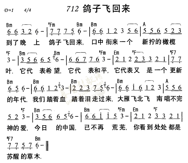 鸽子飞回来 第 1 页