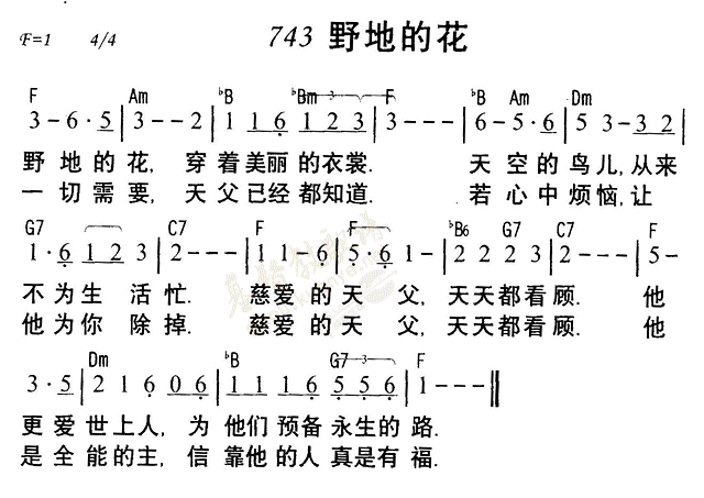 野地的花 第 1 页