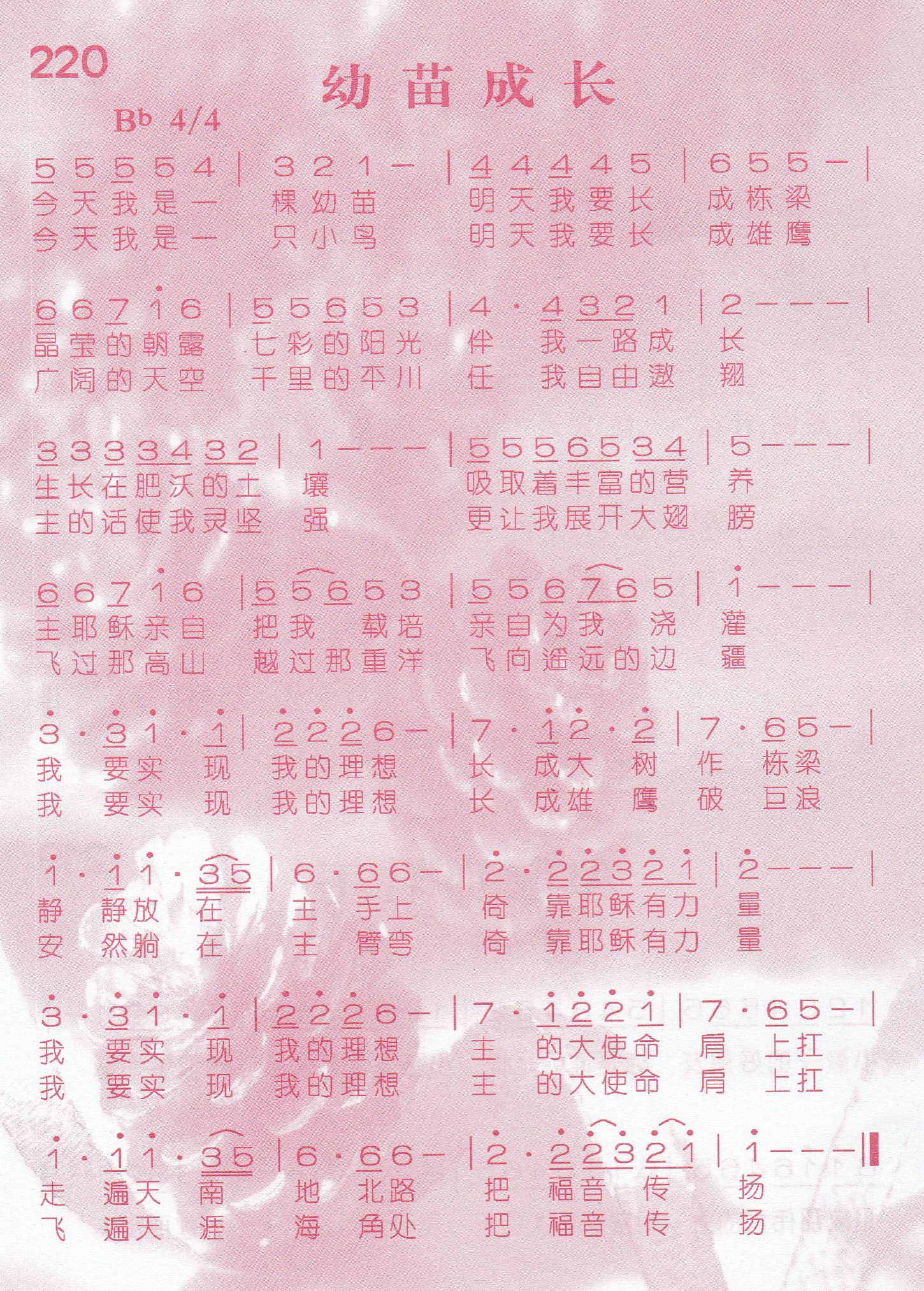 幼苗成长 第 1 页