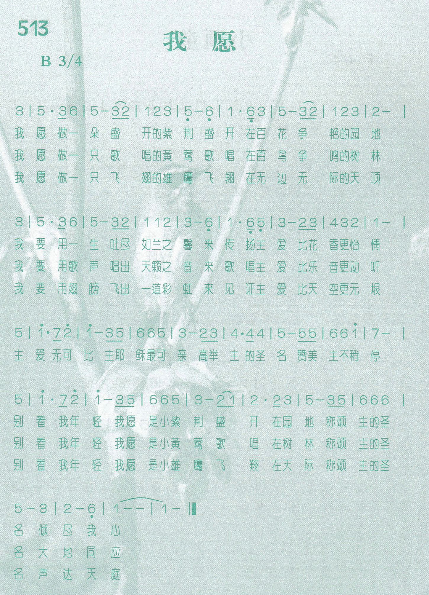 我愿 第 1 页