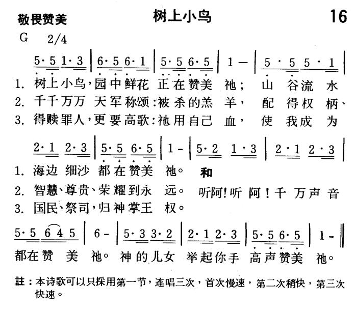 树上小鸟 第 1 页
