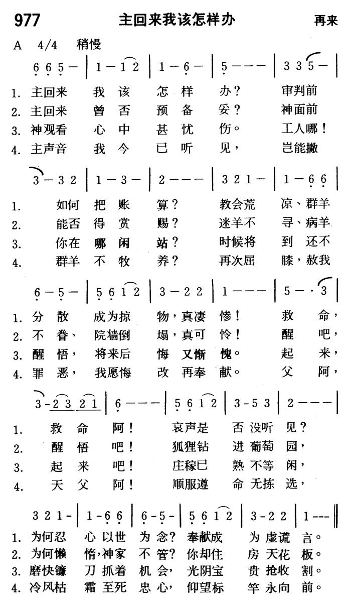 主回来我该怎样办 第 1 页