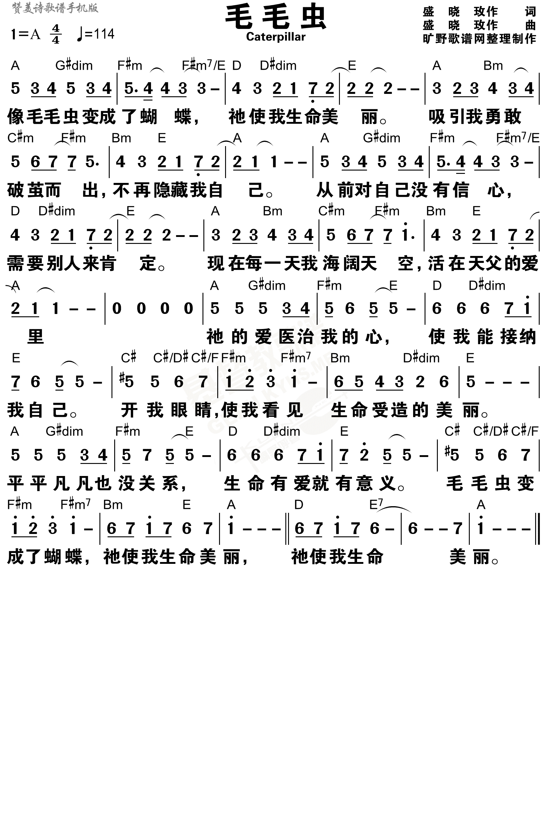 毛毛虫 和弦简谱 第 1 页