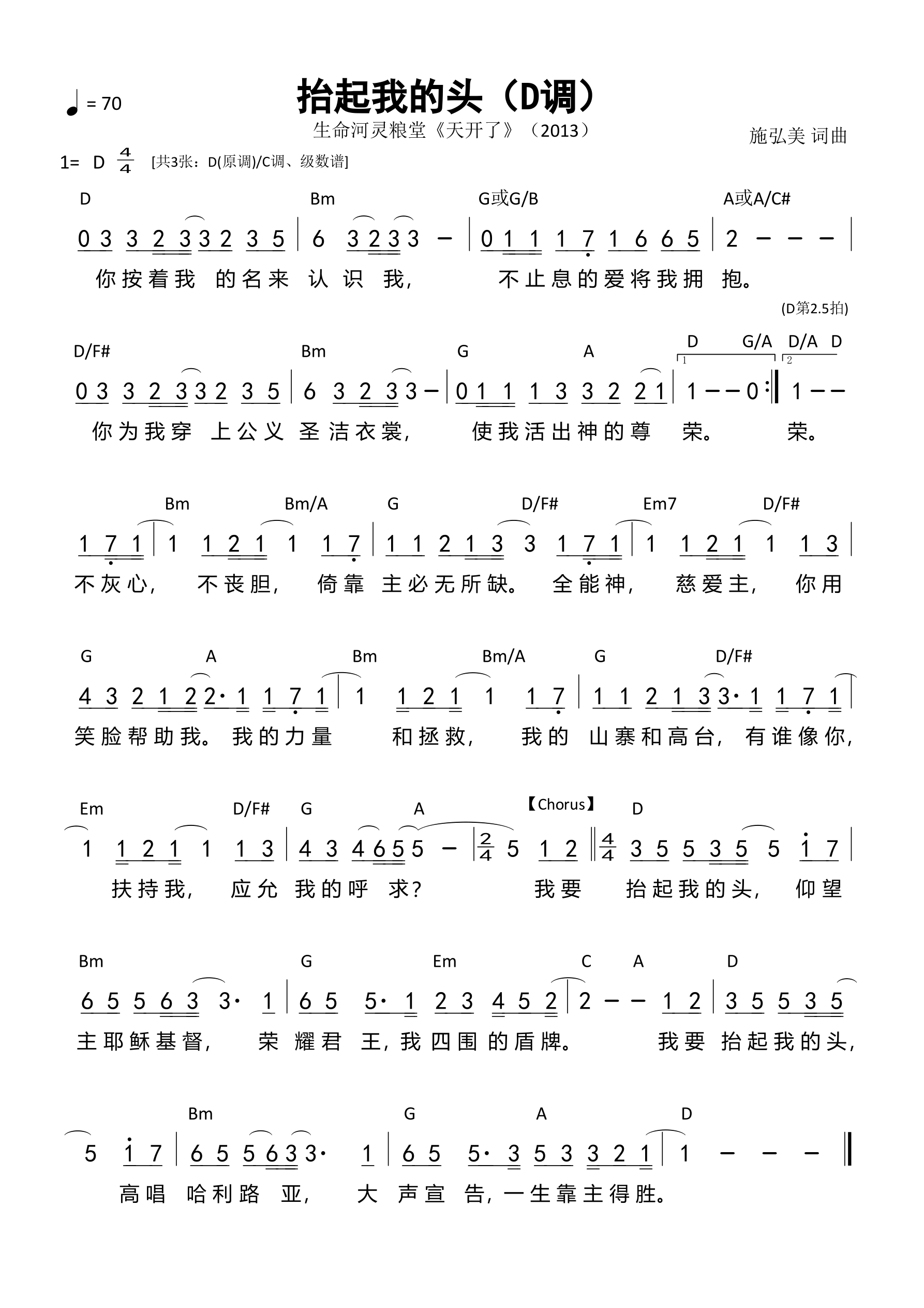 抬起我的头（D调）和弦简谱 第 1 页