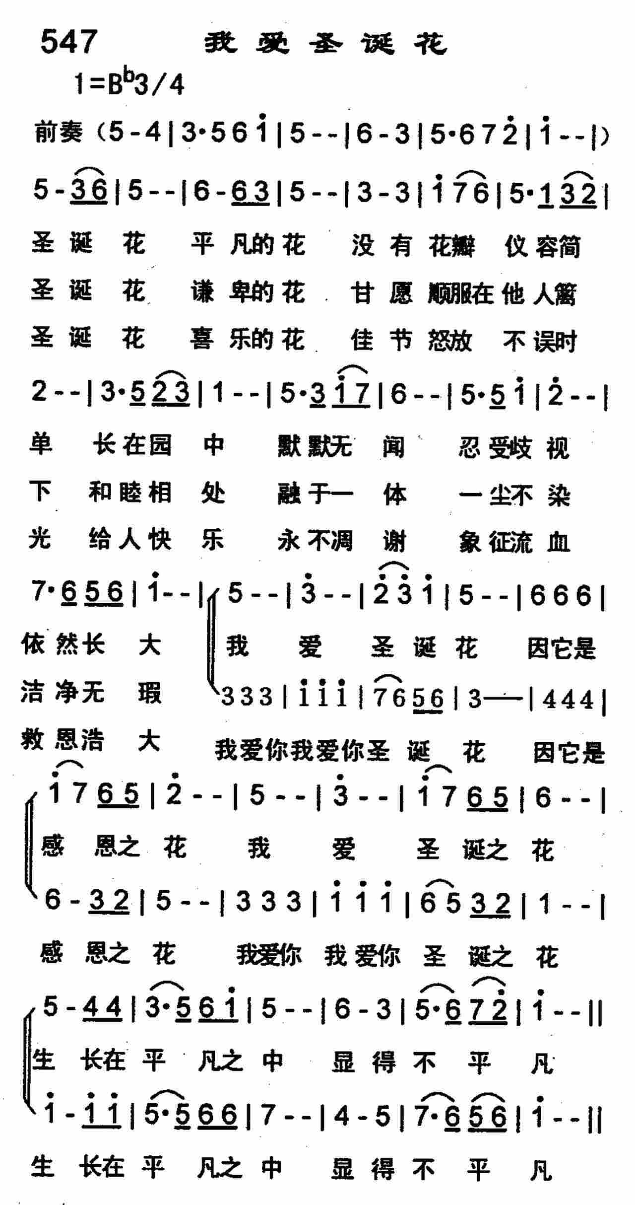 我爱圣诞花 第 1 页