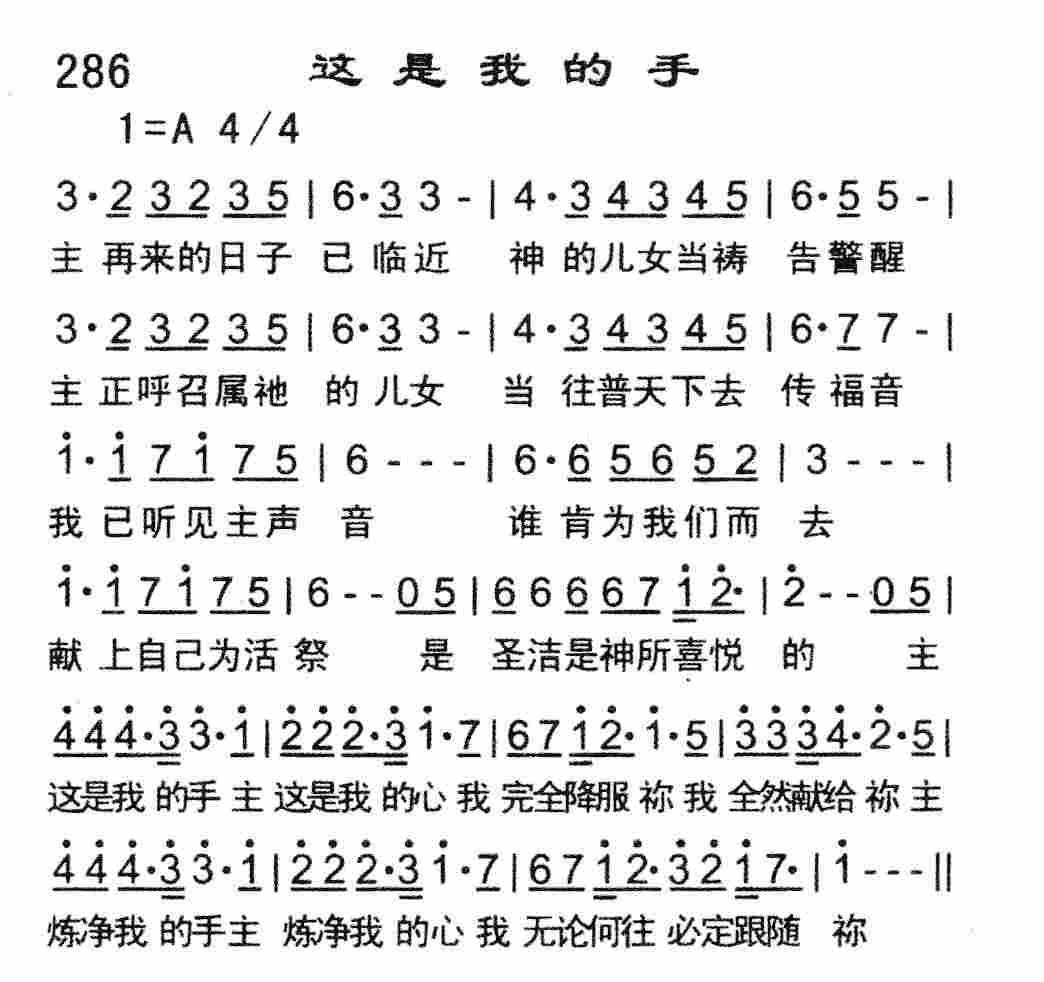 这是我的手 第 1 页