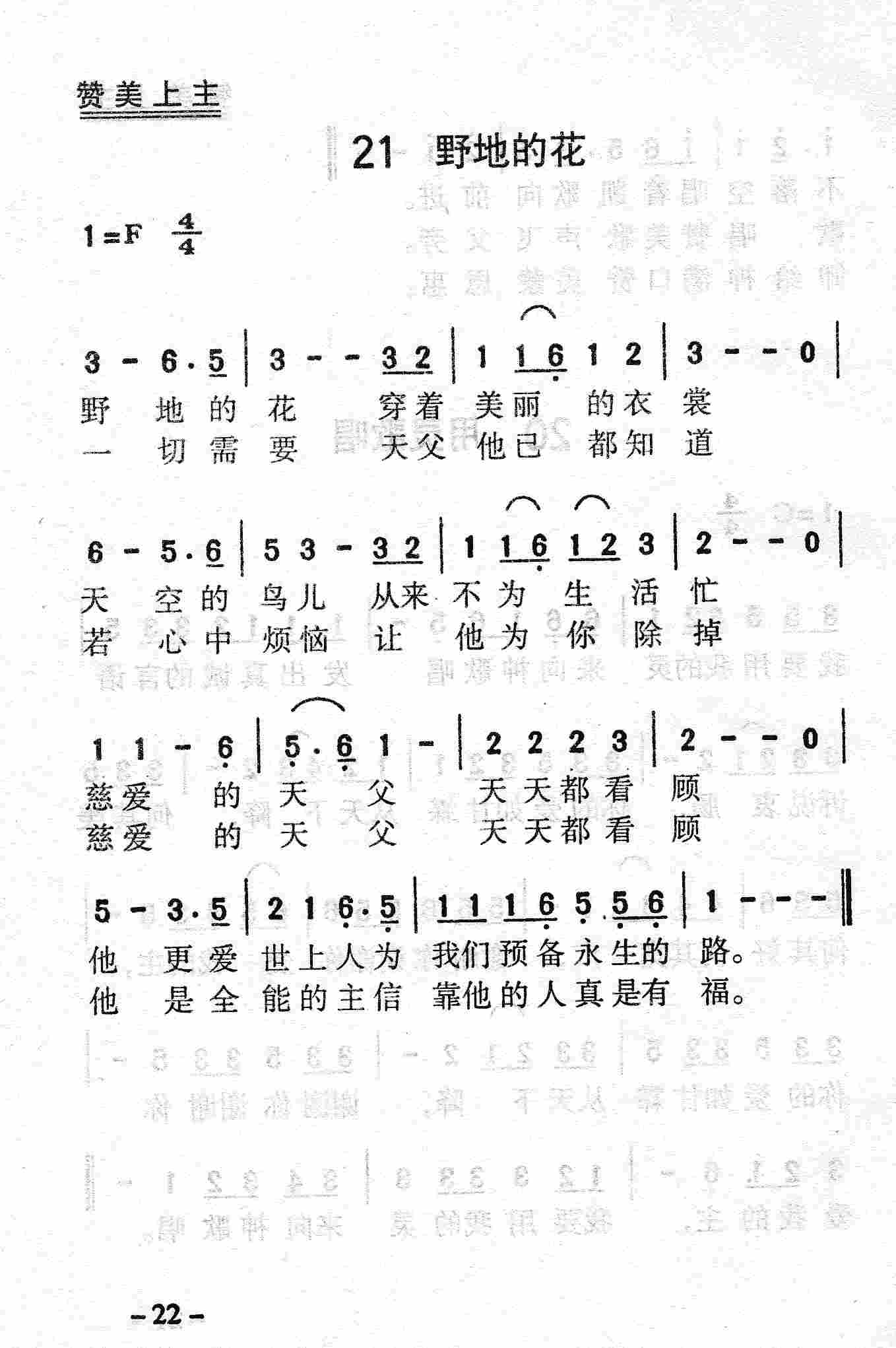 野地的花 第 1 页