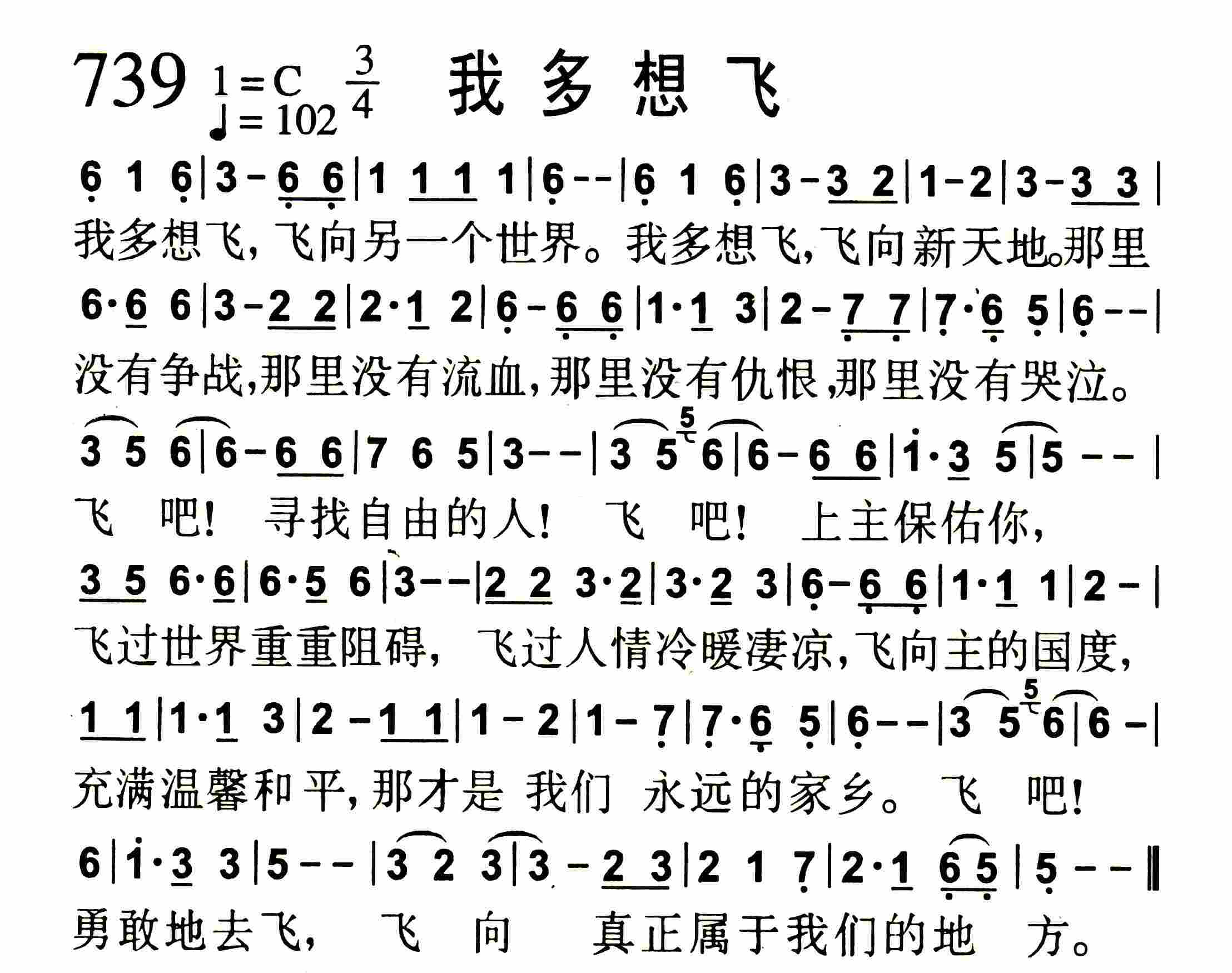 我多想飞 第 1 页