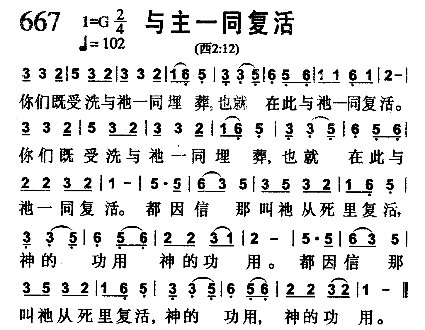 与主一同复活 第 1 页